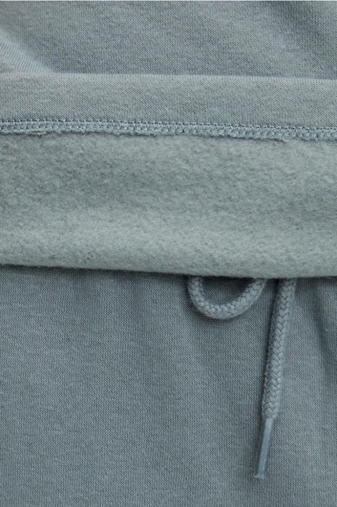 PCCHILLI LS HOODIE NOOS BC 17113437 Trooper